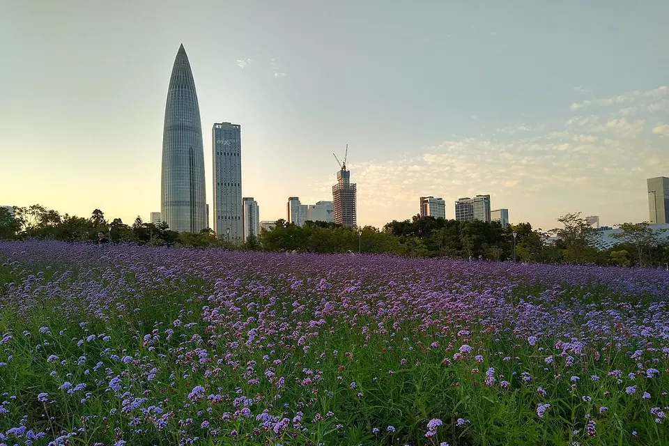 Shenzhen Bay Park